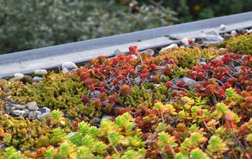 the cost of Llanddewi Skirrid green roof installation