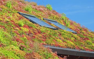 Llanddewi Skirrid living roof systems