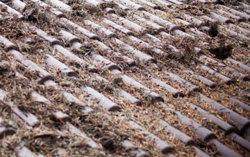 Llanddewi Skirrid roof cleaning companies